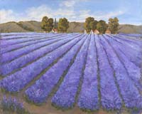 2 Lavender Field